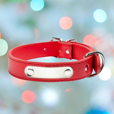 Collier de Chien - LeatherDogCollar™ - Rouge - Heureuxchien