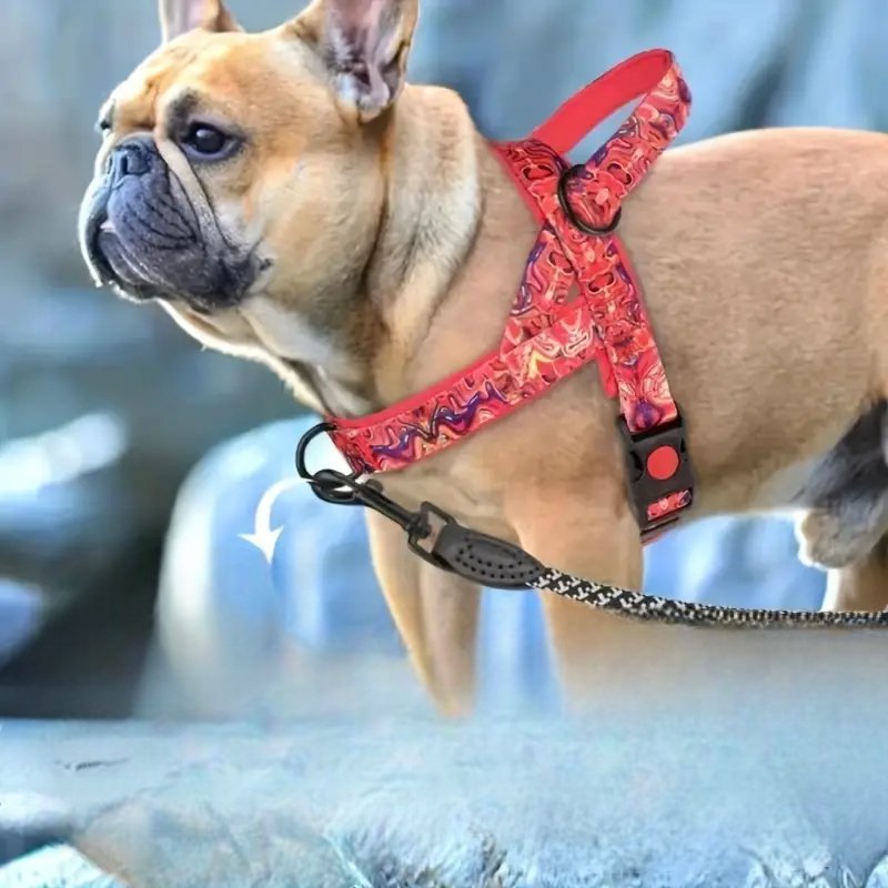 Harnais pour chien - DogSafeHarness™ - Rouge - Heureuxchien