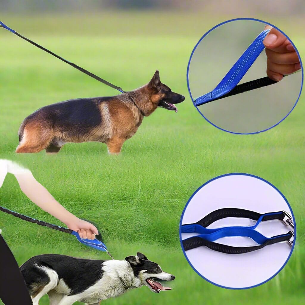 Laisse Chien - HandFreeDogLeash™ - Bleu - Heureuxchien