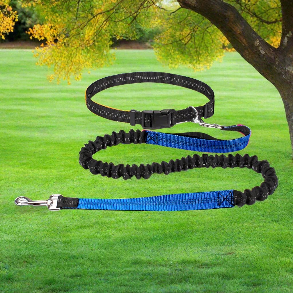 Laisse Chien - HandFreeDogLeash™ - Bleu - Heureuxchien