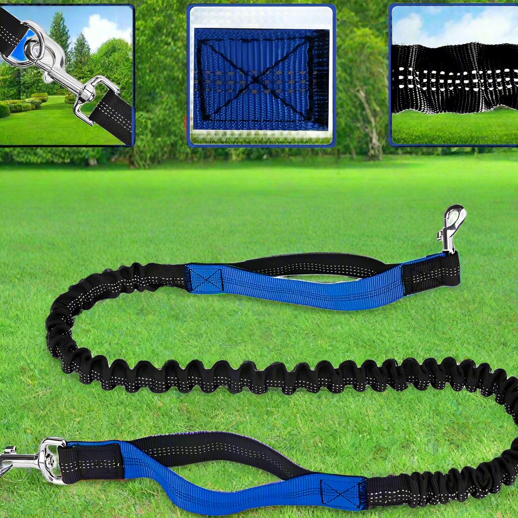 Laisse Chien - HandFreeDogLeash™ - Bleu - Heureuxchien