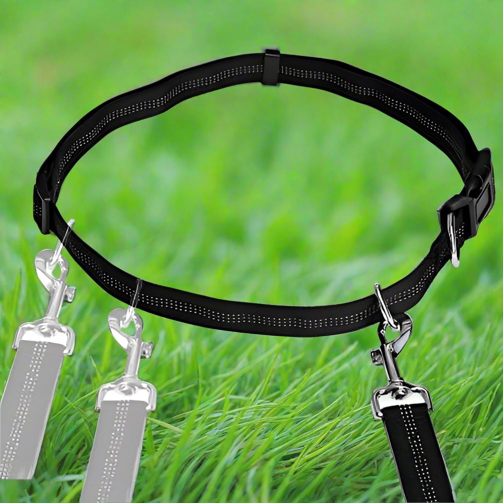 Laisse Chien - HandFreeDogLeash™ - Noir - Heureuxchien