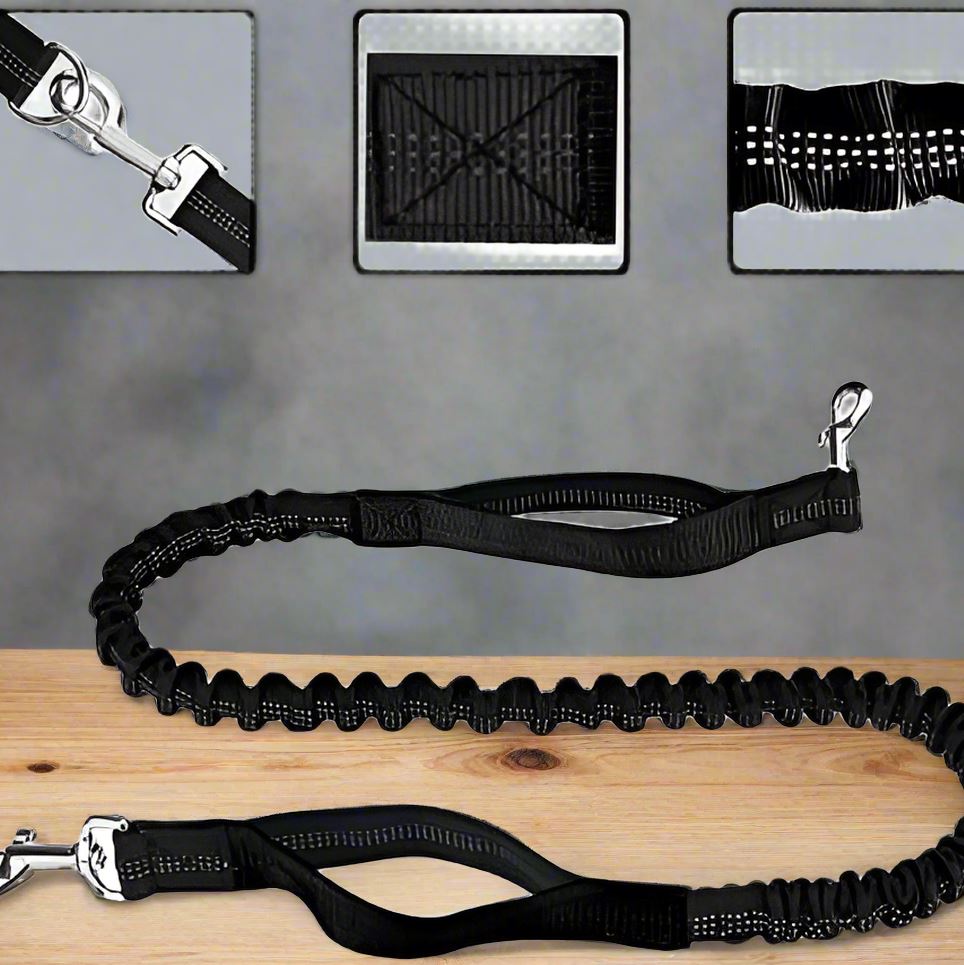 Laisse Chien - HandFreeDogLeash™ - Noir - Heureuxchien