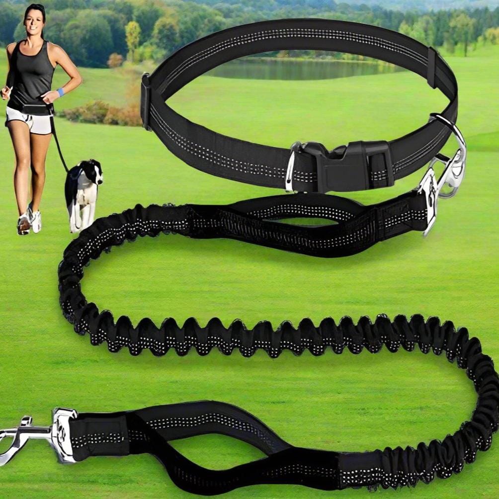 Laisse Chien - HandFreeDogLeash™ - Noir - Heureuxchien