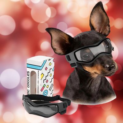 Lunettes pour chien - DogGoggles™ - Heureuxchien