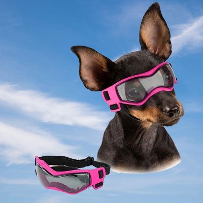 Lunettes pour chien - DogGoggles™ - Rose - Heureuxchien